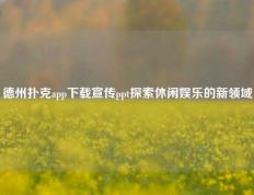 德州扑克app下载宣传ppt探索休闲娱乐的新领域