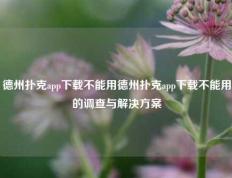 德州扑克app下载不能用德州扑克app下载不能用的调查与解决方案
