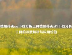 德州扑克app下载分析工具德州扑克APP下载分析工具的深度解析与应用价值