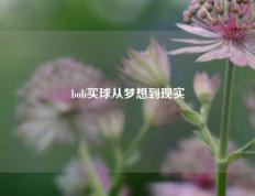 bob买球从梦想到现实