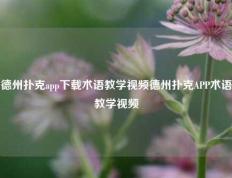 德州扑克app下载术语教学视频德州扑克APP术语教学视频