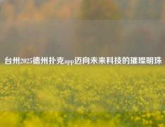 台州2025德州扑克app迈向未来科技的璀璨明珠