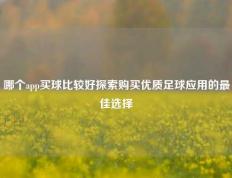 哪个app买球比较好探索购买优质足球应用的最佳选择