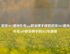 资深2025德州扑克app职业牌手感悟资深2025德州扑克APP职业牌手的2025年感悟