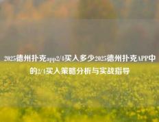 2025德州扑克app2/4买入多少2025德州扑克APP中的2/4买入策略分析与实战指导