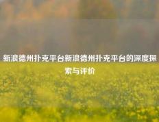 新浪德州扑克平台新浪德州扑克平台的深度探索与评价