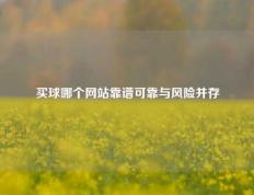买球哪个网站靠谱可靠与风险并存