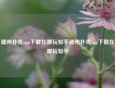 德州扑克app下载在哪玩知乎德州扑克app下载在哪玩知乎
