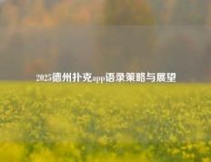 2025德州扑克app语录策略与展望