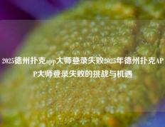 2025德州扑克app大师登录失败2025年德州扑克APP大师登录失败的挑战与机遇