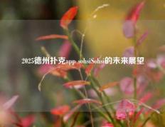 2025德州扑克app sohsiSohsi的未来展望