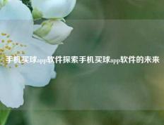 手机买球app软件探索手机买球app软件的未来