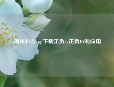 德州扑克app下载正负ev正负EV的应用