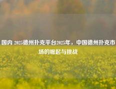 国内 2025德州扑克平台2025年，中国德州扑克市场的崛起与挑战