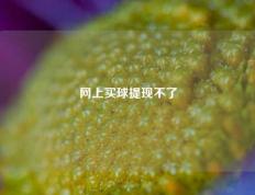 网上买球提现不了