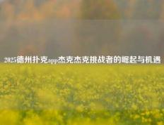 2025德州扑克app杰克杰克挑战者的崛起与机遇