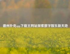 德州扑克app下载王网址探索数字娱乐新天地