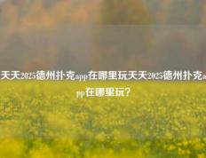 天天2025德州扑克app在哪里玩天天2025德州扑克app在哪里玩？