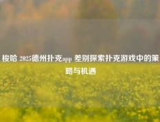 梭哈 2025德州扑克app 差别探索扑克游戏中的策略与机遇