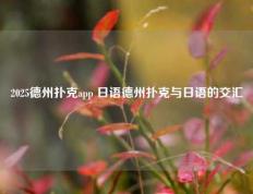 2025德州扑克app 日语德州扑克与日语的交汇