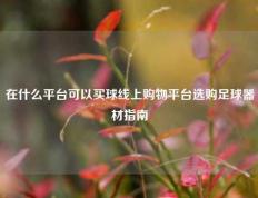 在什么平台可以买球线上购物平台选购足球器材指南