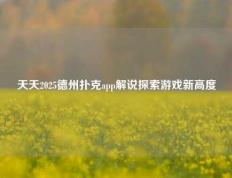 天天2025德州扑克app解说探索游戏新高度