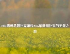 2025德州总督扑克游戏2025年德州扑克的王者之路