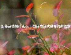 加菲盐德州扑克app下载探索游戏世界的新篇章