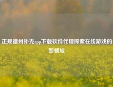 正规德州扑克app下载软件代理探索在线游戏的新领域