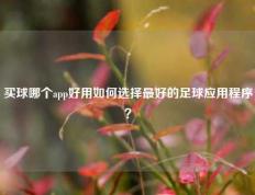 买球哪个app好用如何选择最好的足球应用程序？