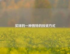 买球的一种独特的投资方式