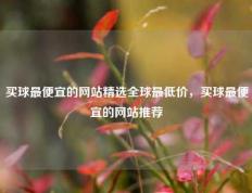 买球最便宜的网站精选全球最低价，买球最便宜的网站推荐