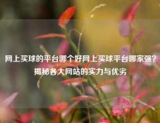网上买球的平台哪个好网上买球平台哪家强？揭秘各大网站的实力与优劣