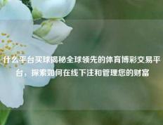 什么平台买球揭秘全球领先的体育博彩交易平台，探索如何在线下注和管理您的财富
