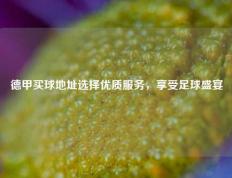德甲买球地址选择优质服务，享受足球盛宴
