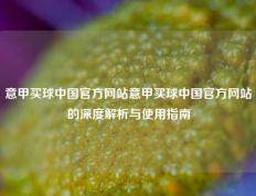 意甲买球中国官方网站意甲买球中国官方网站的深度解析与使用指南