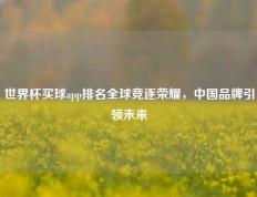 世界杯买球app排名全球竞逐荣耀，中国品牌引领未来