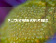 网上买球被骗揭秘骗局与防范措施