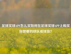 足球买球APP怎么买如何在足球买球APP上购买你想要的球队或球员？