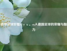 德甲买球好蟹63уь。cn入德国足球的荣耀与魅力