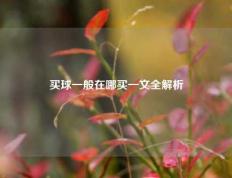 买球一般在哪买一文全解析