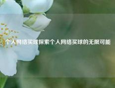 个人网络买球探索个人网络买球的无限可能