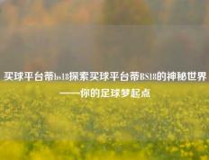 买球平台蒂bs18探索买球平台蒂BS18的神秘世界——你的足球梦起点