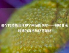 那个网站能买球那个网站能买球——揭秘非法赌博的真相与防范策略