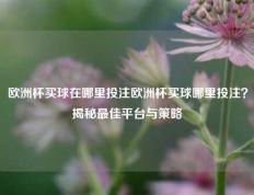 欧洲杯买球在哪里投注欧洲杯买球哪里投注？揭秘最佳平台与策略