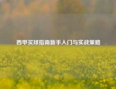 西甲买球指南新手入门与实战策略