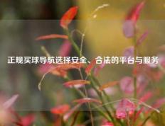 正规买球导航选择安全、合法的平台与服务