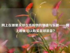 网上在哪里买球在线购物的便捷与乐趣——网上哪里可以购买足球装备？