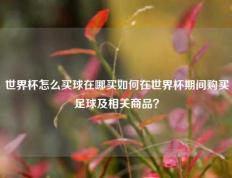 世界杯怎么买球在哪买如何在世界杯期间购买足球及相关商品？