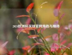 2024欧洲杯买球官网预热与期待